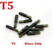 T5-GLASS